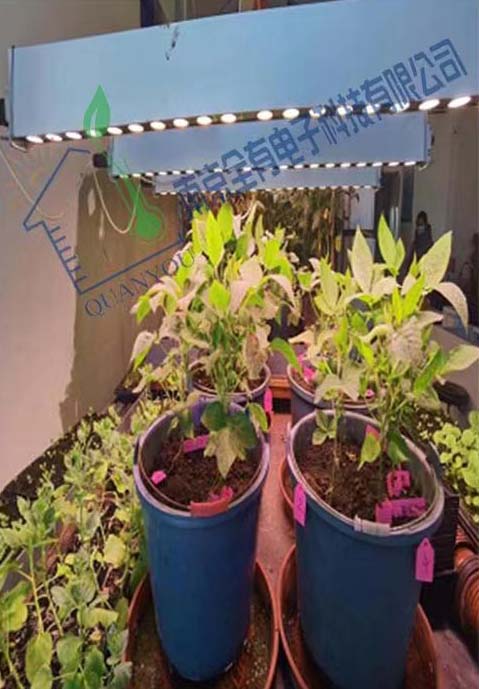 中國(guó)科學(xué)院東北地理與農(nóng)業(yè)生態(tài)研究所項(xiàng)目實(shí)景圖